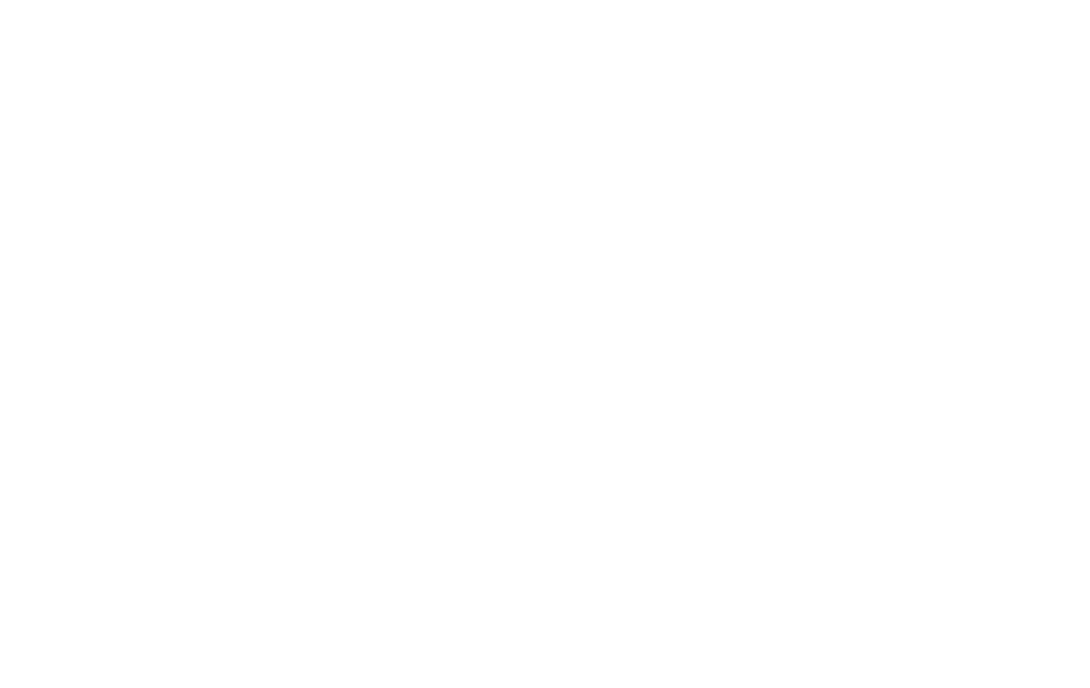 Vishandel Jan Schaap
